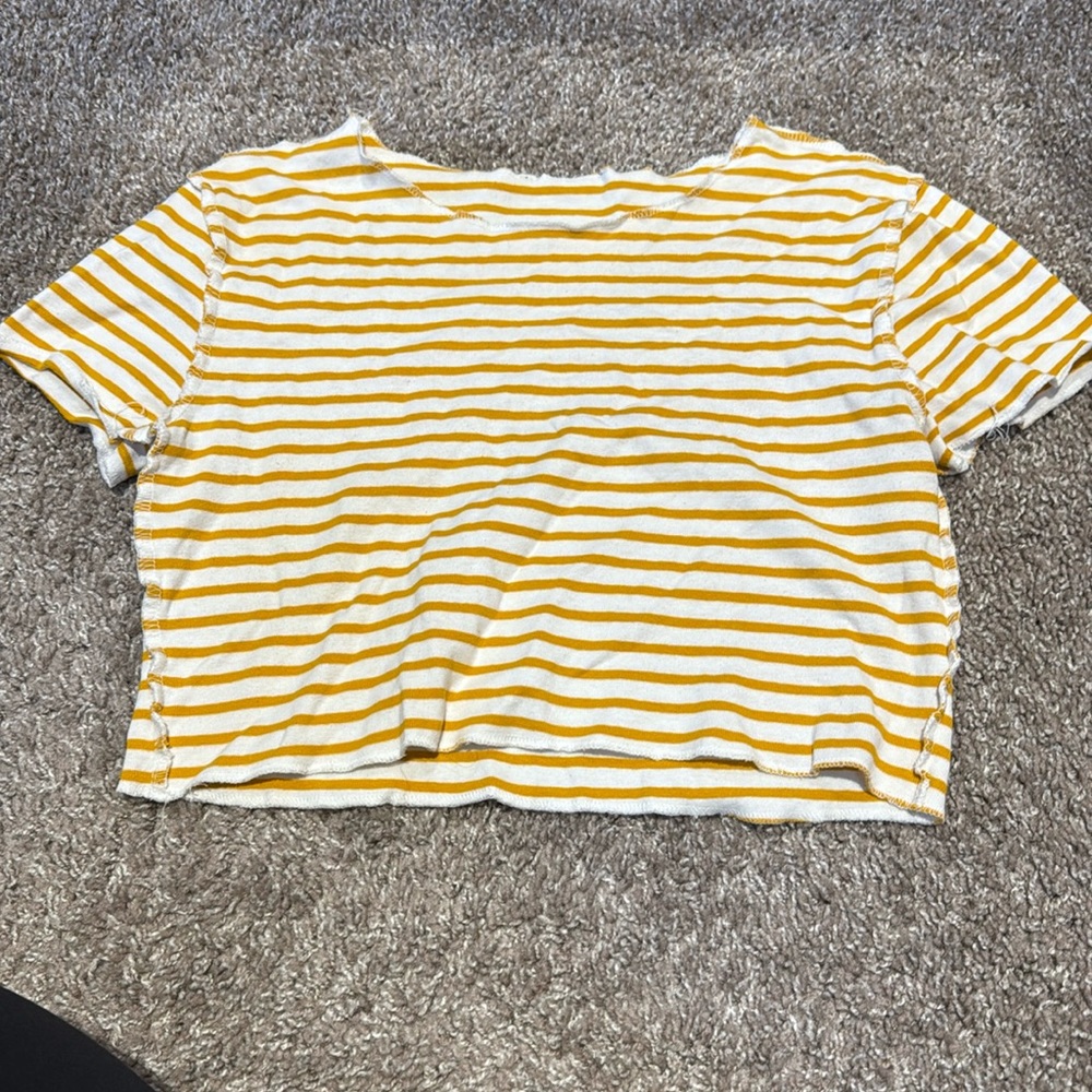 Zara Cropped Tee